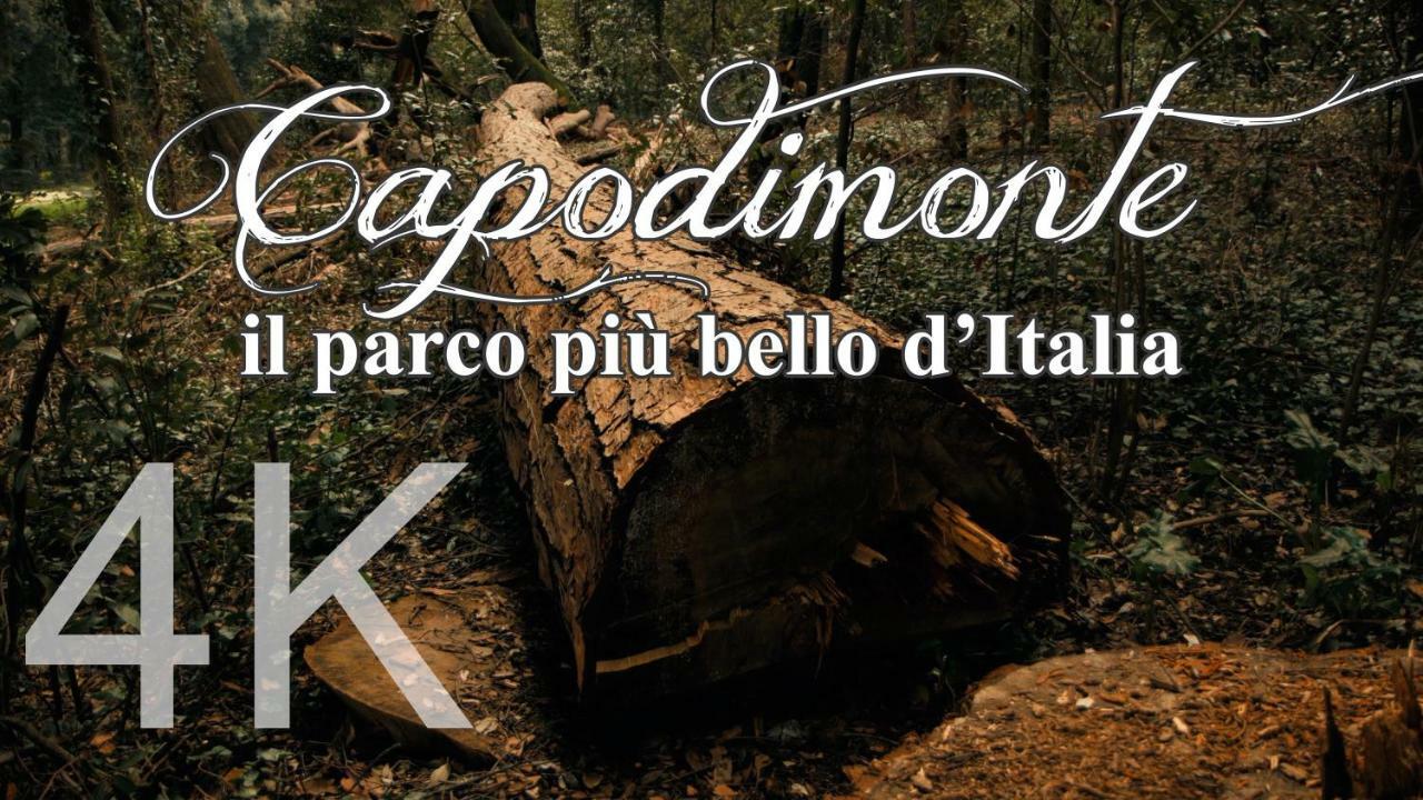 Alla Corte Del Re Dimora Storica Neapol Exteriér fotografie